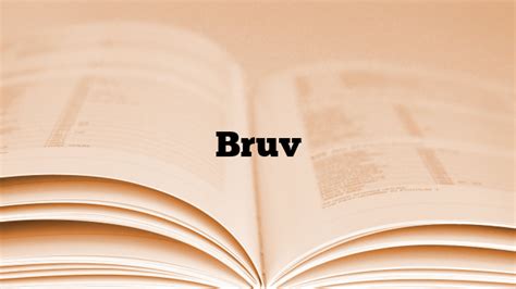 bruv meaning|britain slang words.